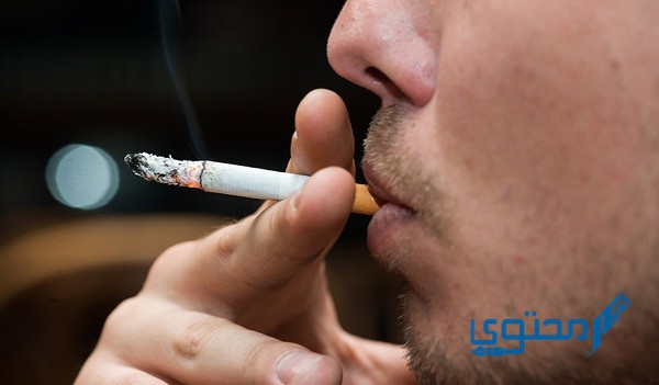 دفع مخالفات التدخين الكويت بطريقة سهلة