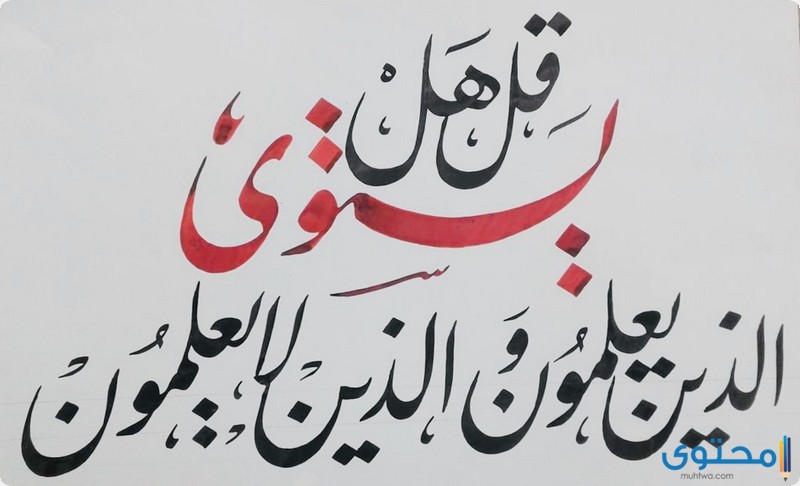 آيات قرآنية عن العلم والتعلم موقع محتوى