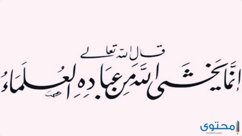 ايات قرانية عن فضل العلم والعلماء