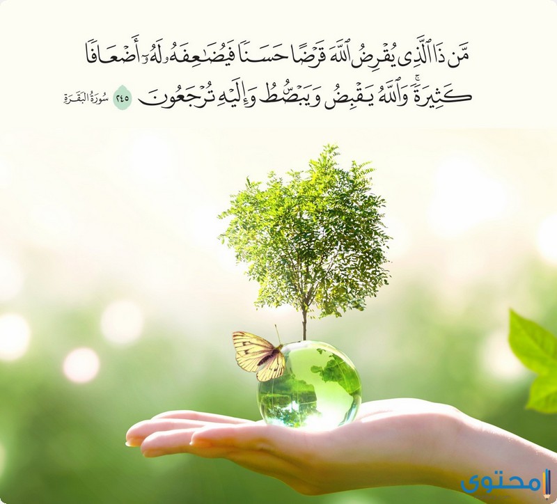 آيات قرآنية عن مساعدة الفقراء موقع محتوى