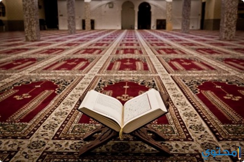 دعاء سيدنا إبراهيم عليه السلام