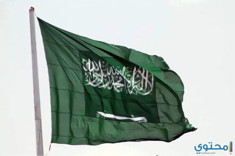 أدعية للسعودية حديثة دعاء للوطن موقع محتوى