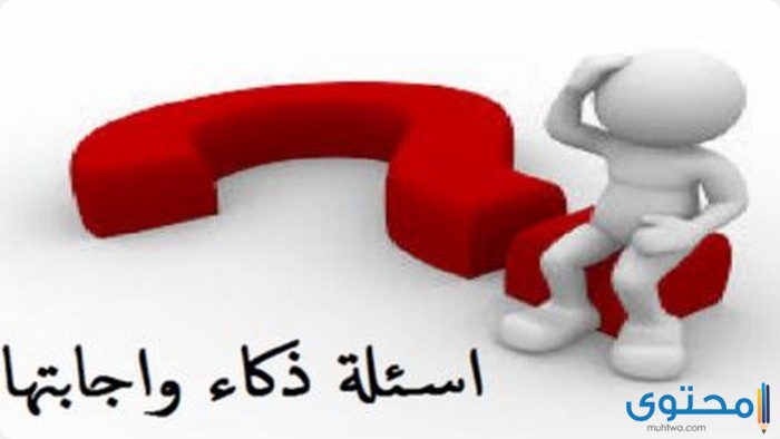 أسئلة عامة وأجابتها 2019 جديدة
