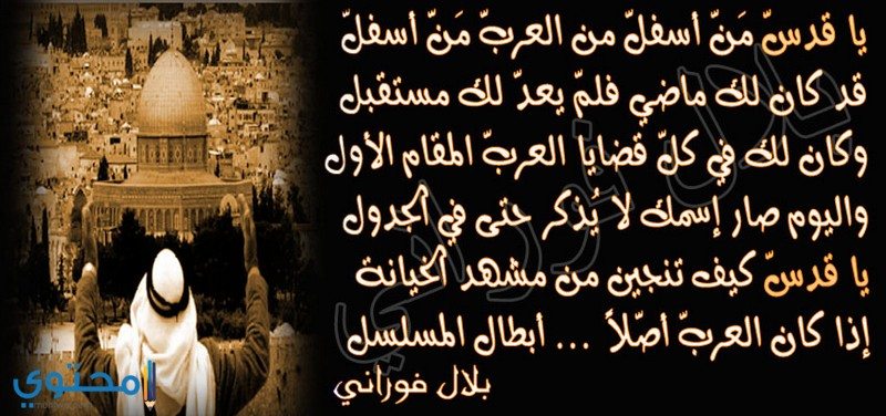 ابيات شعر عن فلسطين