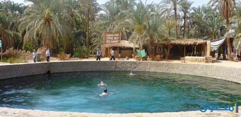 أفضل الأماكن للسياحة العلاجية في الوطن العربي