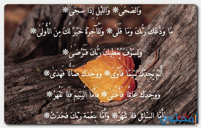 سور المفصل