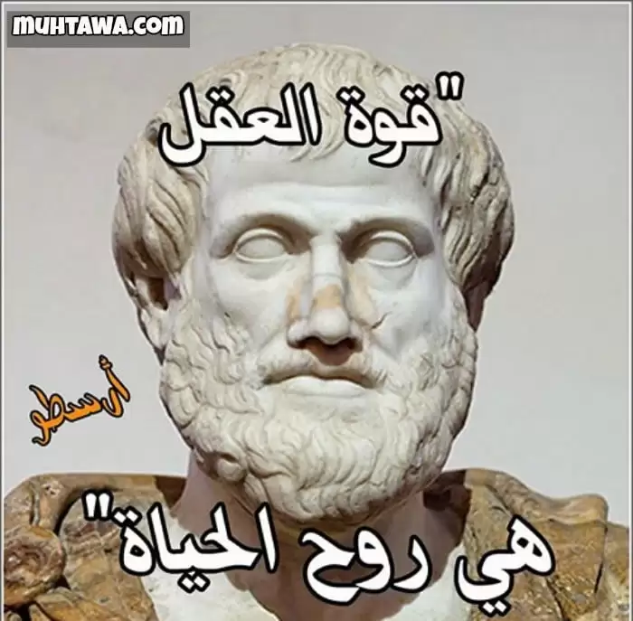 حكم وأقوال أرسطو الشهيرة أقوال الفلاسفة موقع محتوى