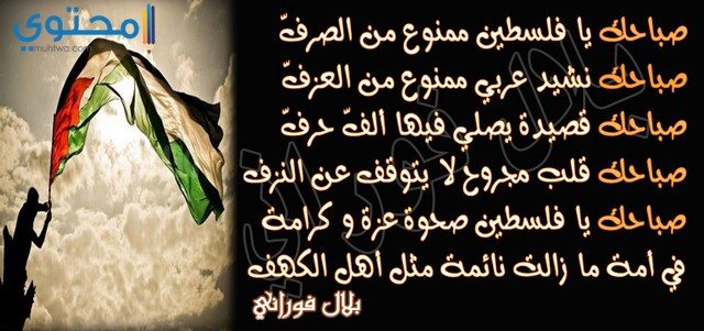 شعر عن فلسطين