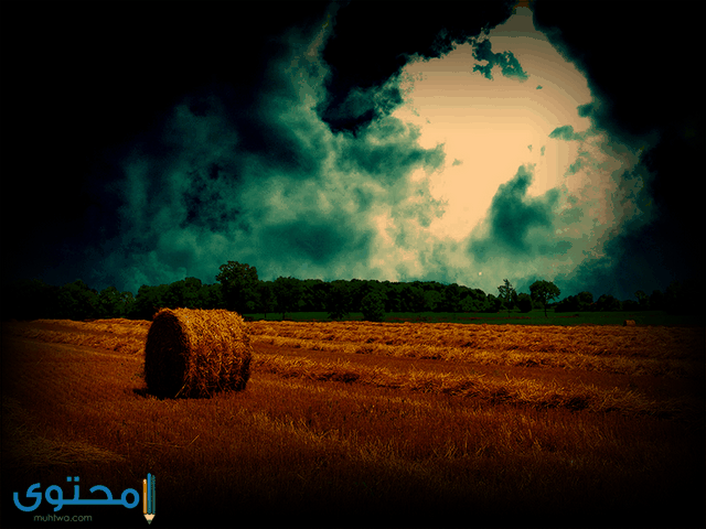 اجمل الصور في العالم 2021 موسوعة صور جميلة موقع محتوى