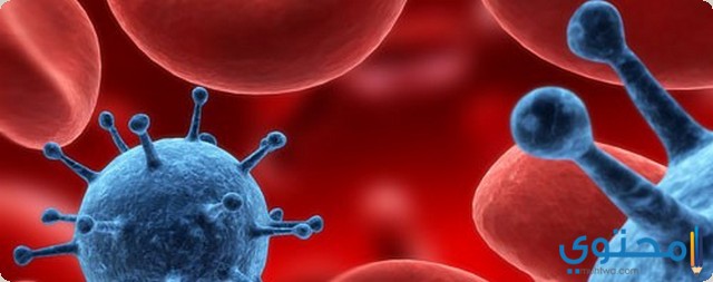 ادوية علاج بكتيريا الدم 2021 موقع محتوى