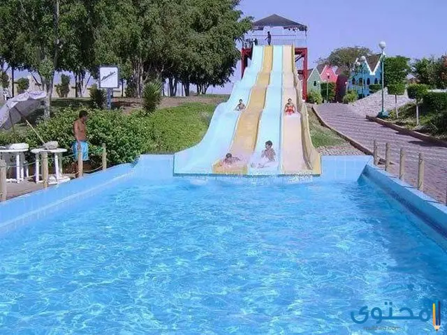 Ø§Ø³Ø¹Ø§Ø± ØªØ°Ø§ÙƒØ± Ø§ÙƒÙˆØ§ Ø¨Ø§Ø±Ùƒ 2020 ÙˆÙ…ÙˆØ§Ø¹ÙŠØ¯ Ø§Ù„Ø¹Ù…Ù„ Ù…ÙˆÙ‚Ø¹ Ù…Ø­ØªÙˆÙ‰