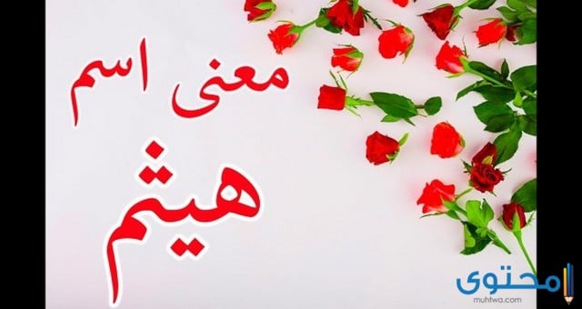 معنى اسم هيثم وصفات من يحمله موقع محتوى