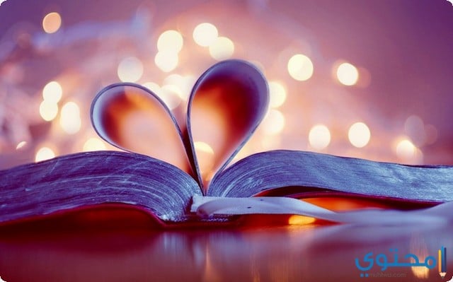 اشعار حب قصيرة 