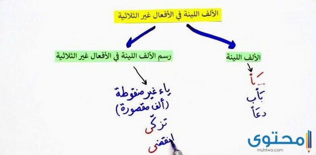 أمثلة على الألف اللينة في الأفعال غير الثلاثية موقع محتوى