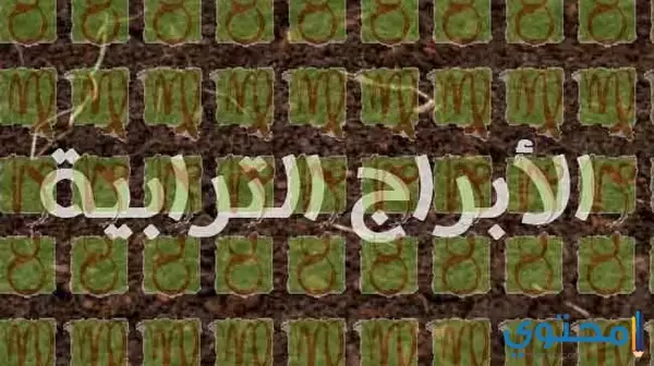 ذاكرة الحلوى احتمالات برج الدلو ترابي ام مائي Geishaevents Com