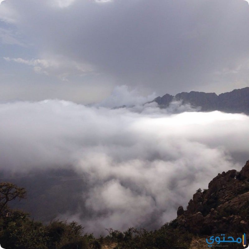 مدينة الباحة