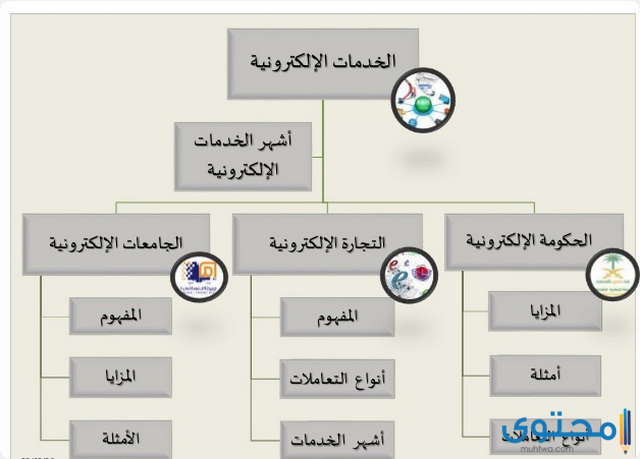 اول من استخدم الخدمات الالكترونية Lemppee