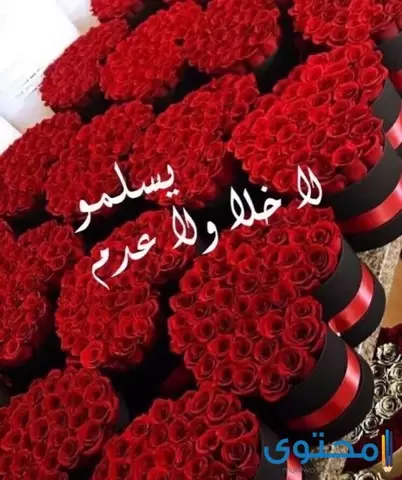 الرد على تعليقات حلوة موقع محتوى