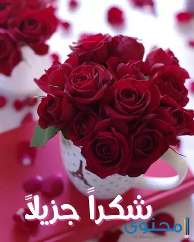 الرد على تعليقات حلوة موقع محتوى