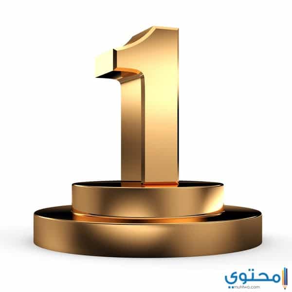 صفات وخصائص مسار الحياة رقم 1 موقع محتوى