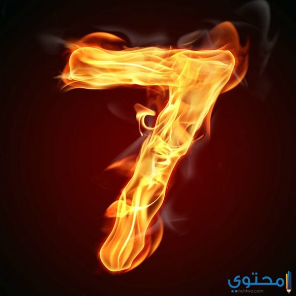 صفات أصحاب مسار الحياة رقم 7 والحب