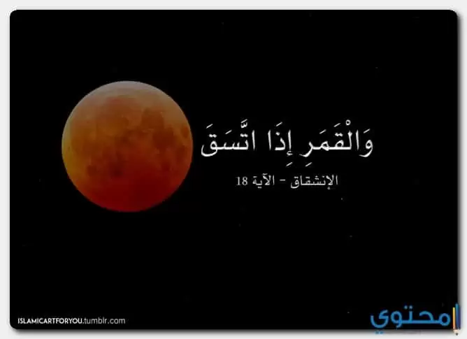 آيات من القرآن عن الشمس والقمر موقع محتوى