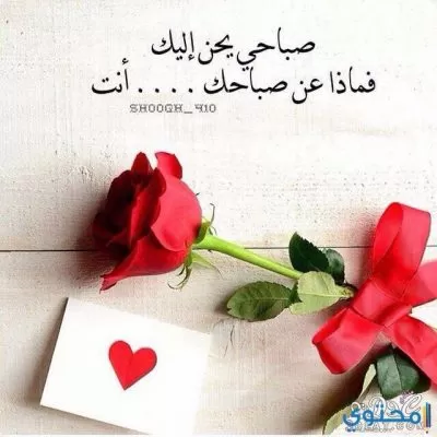 رسائل صباح الخير 2022 صور وكلمات صباحية جميلة للحبيب موقع محتوى