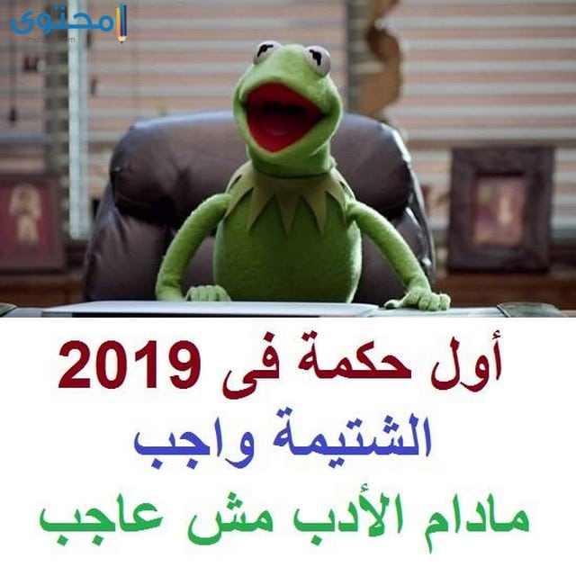 صور الضفدع كيرميت جديدة موقع محتوى