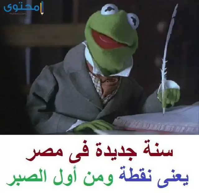صور الضفدع كيرميت جديدة موقع محتوى