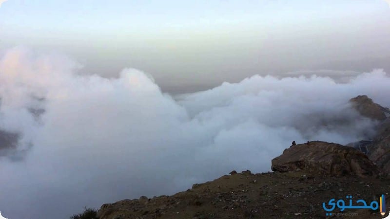 الطائف