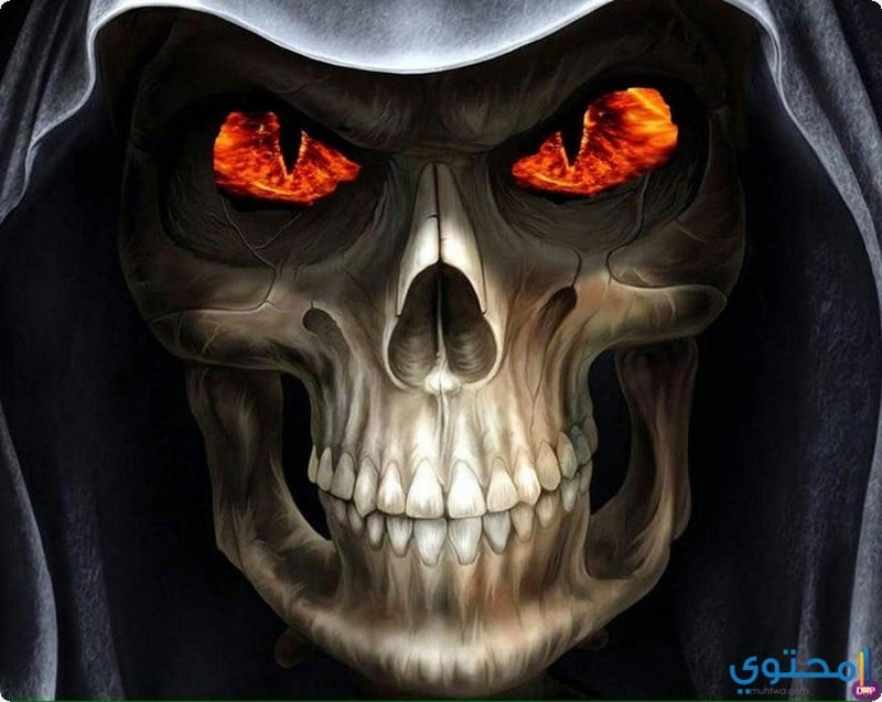 الفرق بين العقم الطبيعي والعقم بسبب السحر أو المس