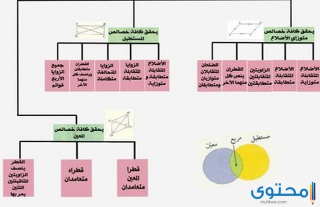 وجه الاختلاف بين المربع والمعين موقع محتوى