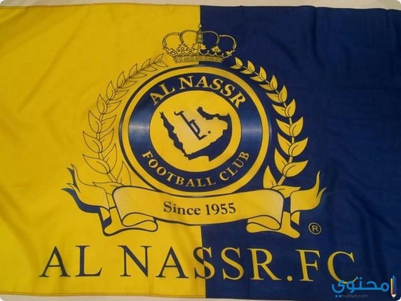 أغلفة وكفرات نادي النصر السعودي تويتر وجوجل بلس - موقع محتوى