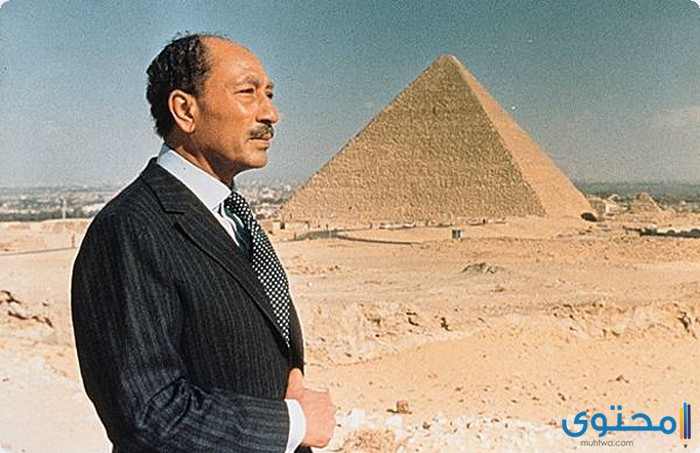 بحث عن عظماء مصر حديثا موقع محتوى