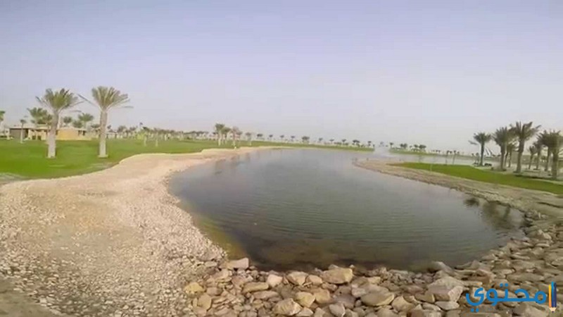 لماذا سميت الدمام بهذا الاسم موقع محتوى