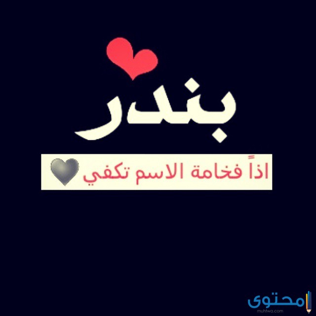 معنى اسم بندر وأصله موقع محتوى