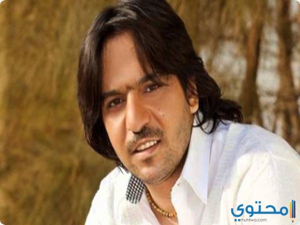 حياة بهاء سلطان الفنية والمهنية