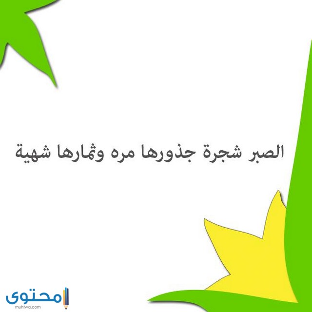 حالات واتساب عن الصبر والفرج