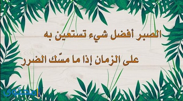 كلام عن الصبر
