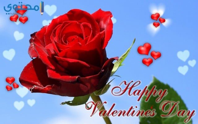 أجمل بوستات عيد الحب الفلانتين 2021 Valentine موقع محتوى