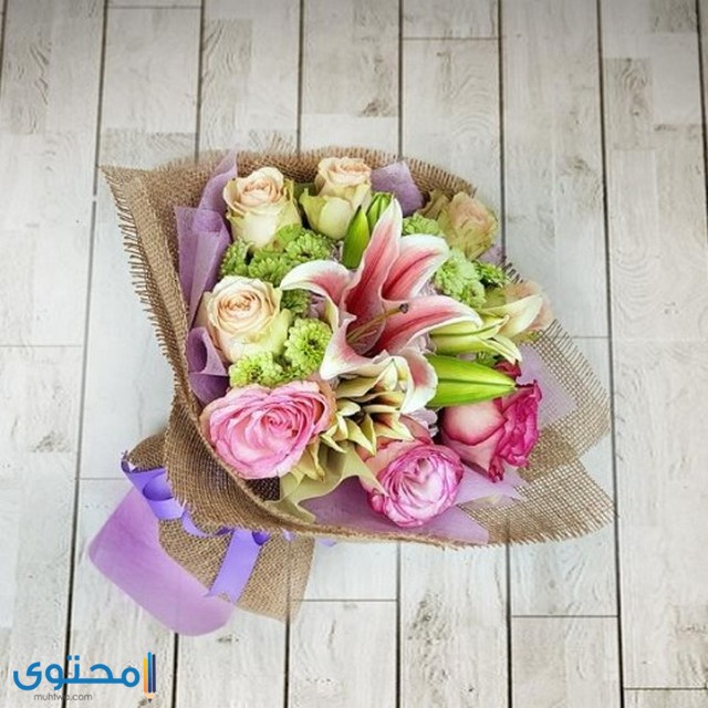 الادارة مديح اختبار موقع يوصل ورد hotel mansiondelsol com