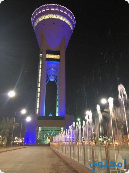 مدينة تبوك بالصور