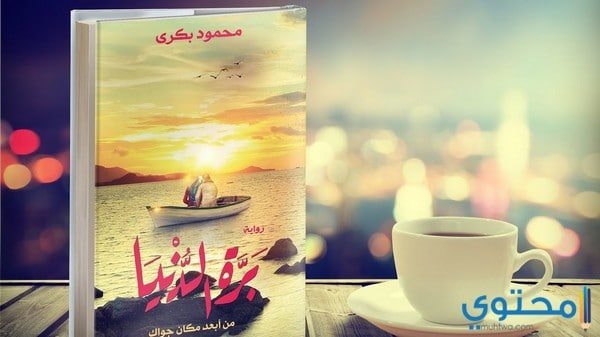 مقدمة رواية بره الدنيا