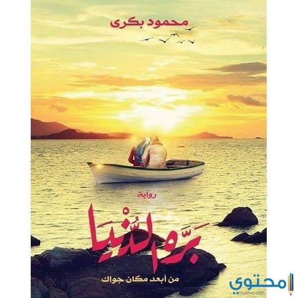 معلومات عن رواية بره الدنيا
