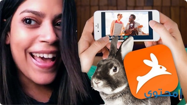 تطبيق Rabbit 