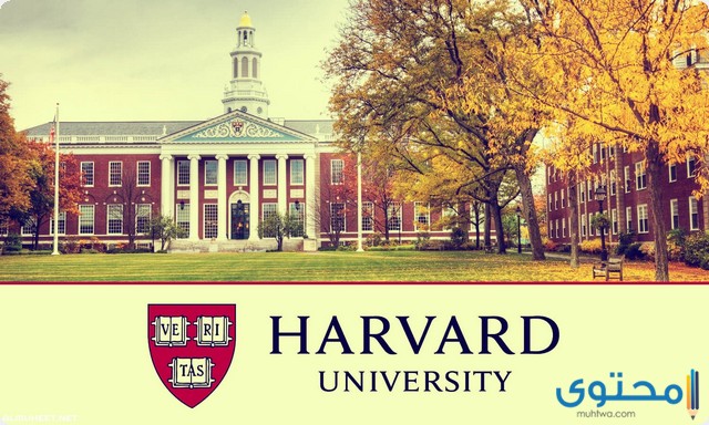 شروط القبول في جامعة هارفارد الأمريكية موقع محتوى