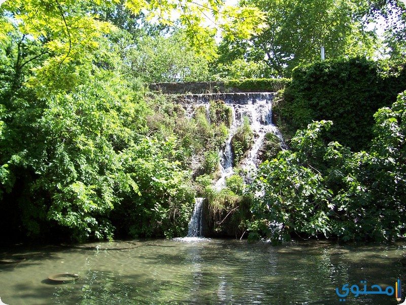 جزيرة مارغريت