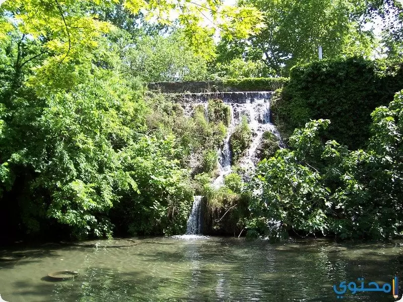 جزيرة مارغريت