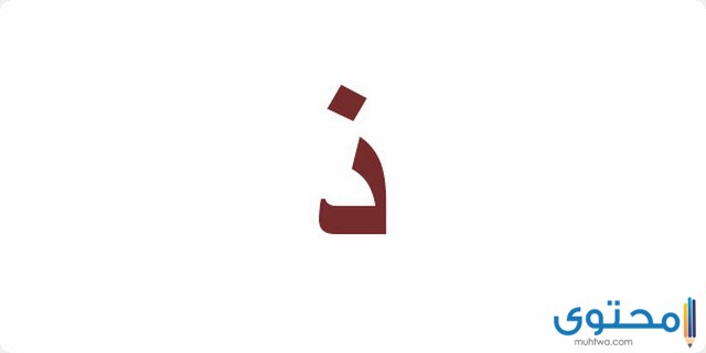 اسم الجماد يبدأ بحرف الذال موقع المحتوى