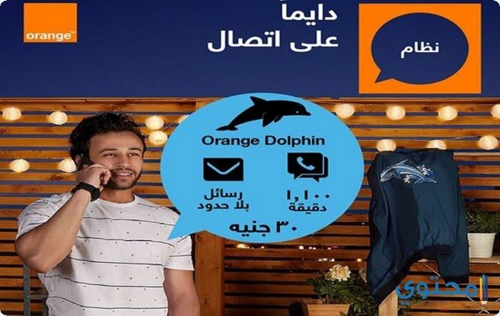 نظام دولفين